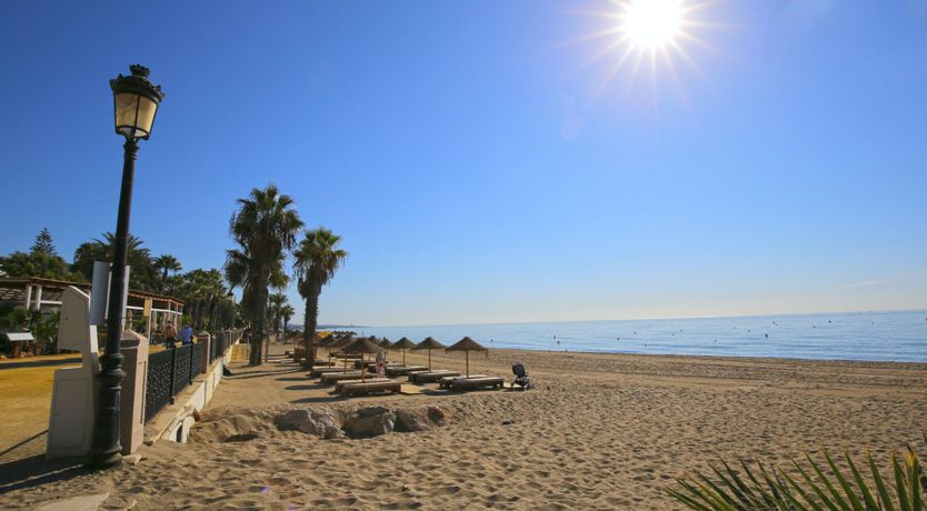 Photo of Sweet Juliet