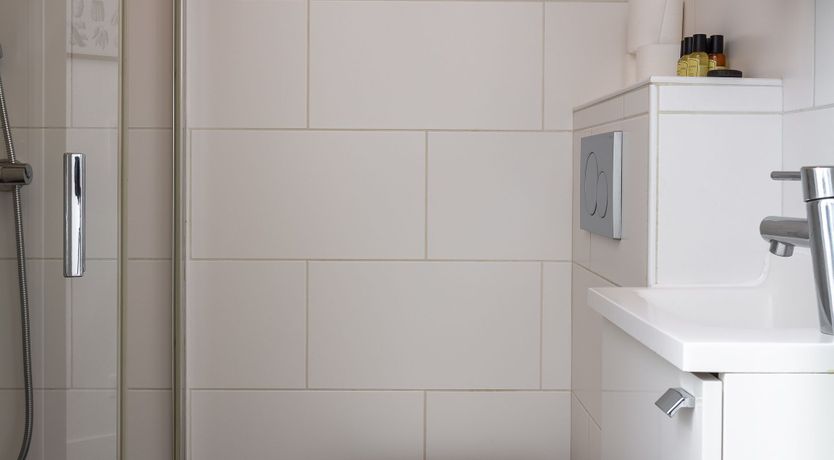 Photo of The Rose & the Sunflower