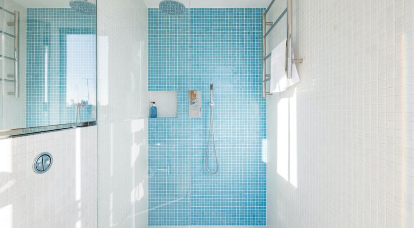 Photo of The Dark Horse