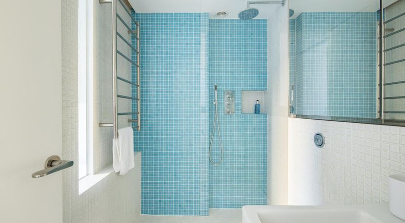 Photo of The Dark Horse