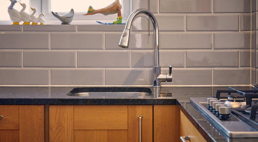 Photo of Like a Duck to Water