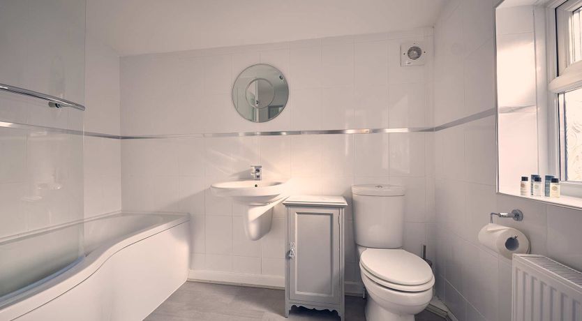 Photo of Like a Duck to Water