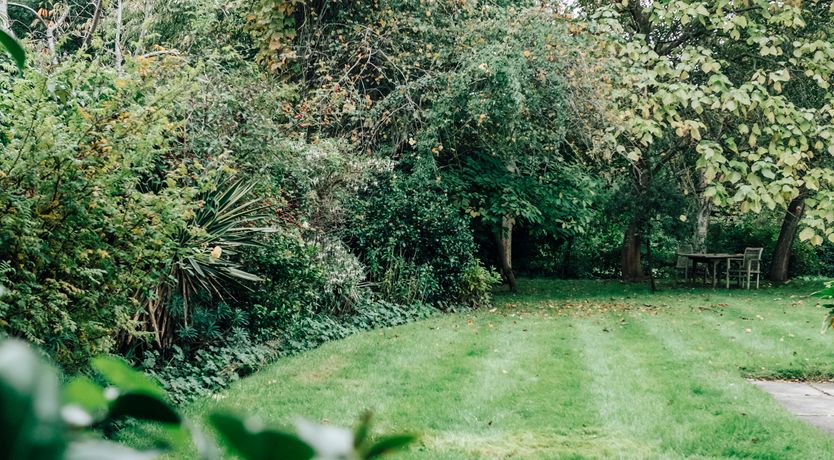 Photo of Grace & Light