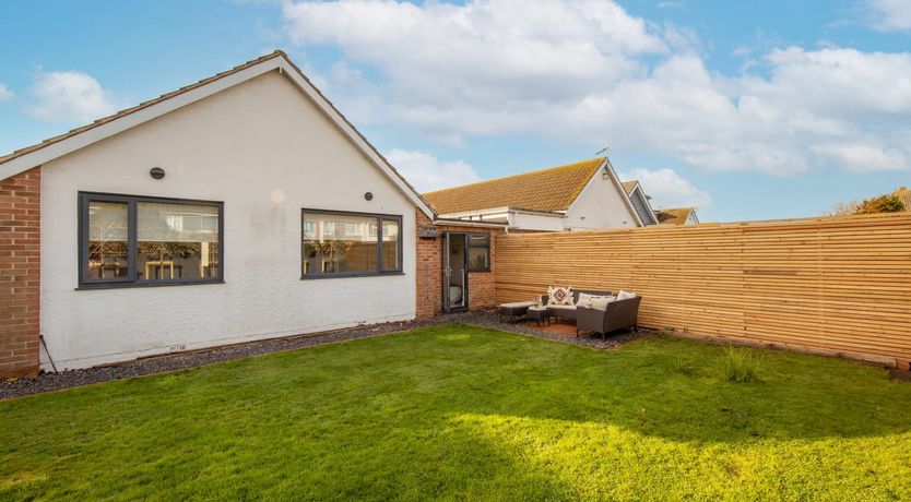 Photo of Driftwood Daydream