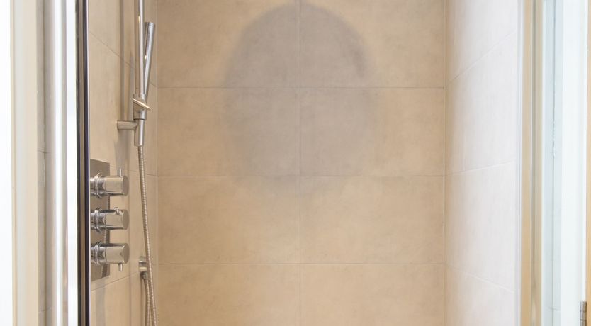 Photo of Driftwood Daydream