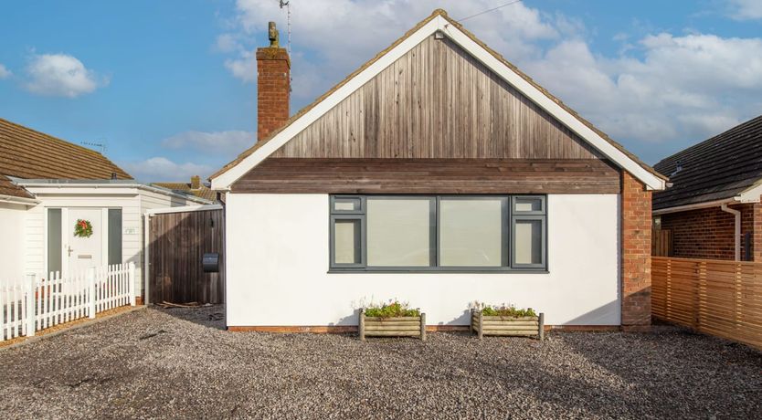 Photo of Driftwood Daydream