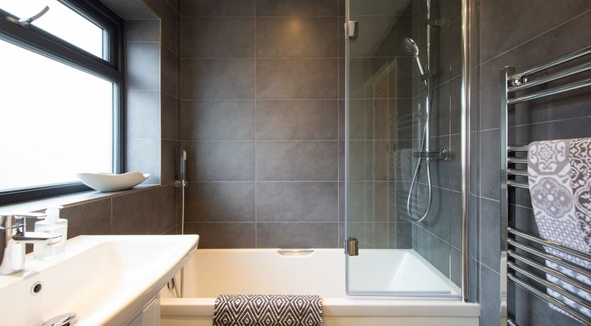 Photo of Driftwood Daydream