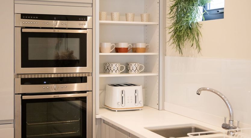 Photo of Driftwood Daydream