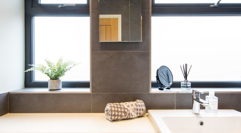 Photo of Driftwood Daydream