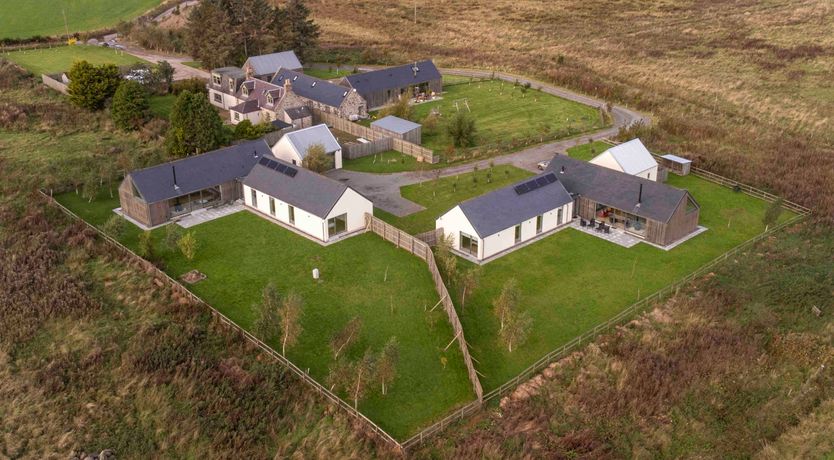 Photo of Blooming Heather