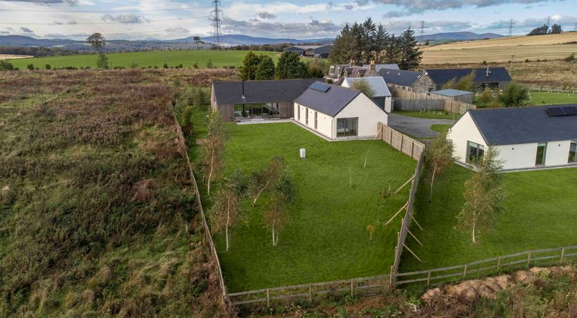 Photo of Blooming Heather