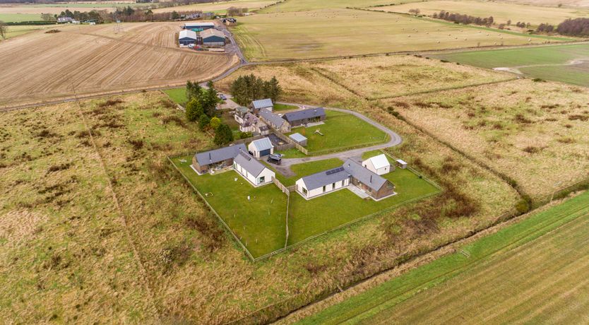 Photo of Blooming Heather