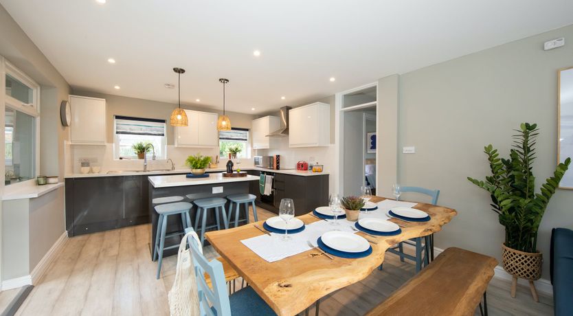 Photo of Aquamarine Octopus