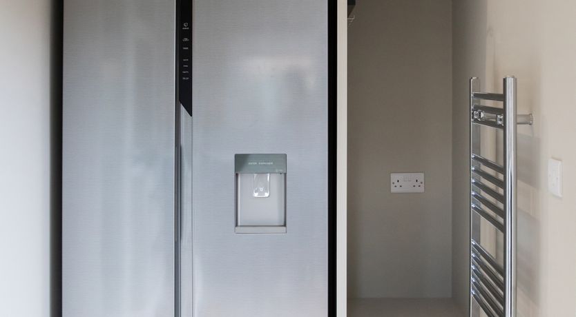 Photo of Aquamarine Octopus