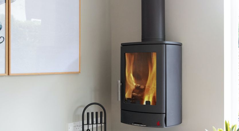 Photo of Aquamarine Octopus