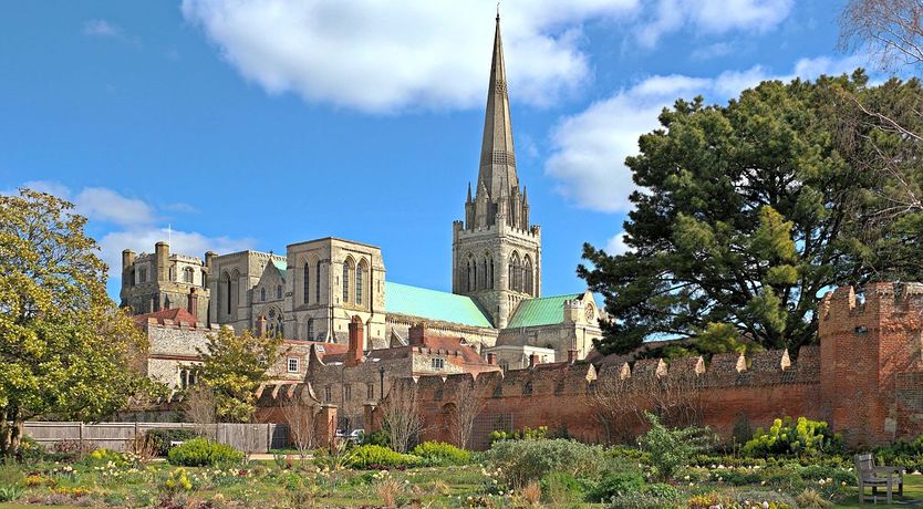 Photo of Aquamarine Octopus