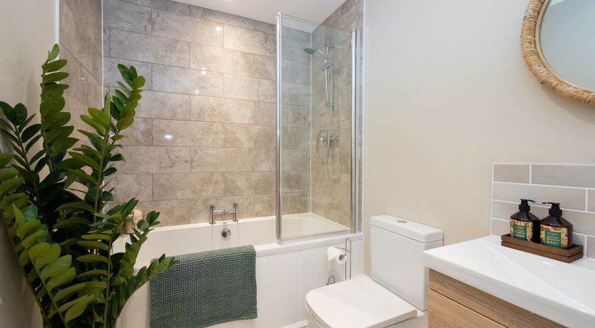 Photo of Aquamarine Octopus