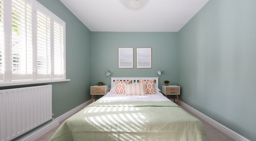 Photo of Aquamarine Octopus