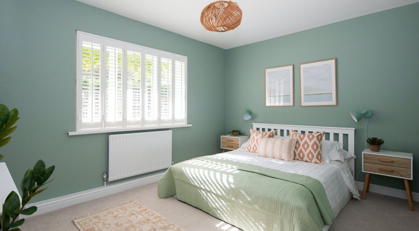 Photo of Aquamarine Octopus