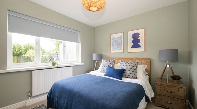 Photo of Aquamarine Octopus