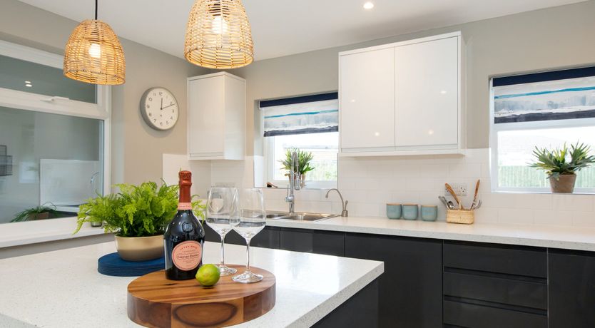 Photo of Aquamarine Octopus