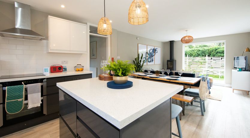 Photo of Aquamarine Octopus