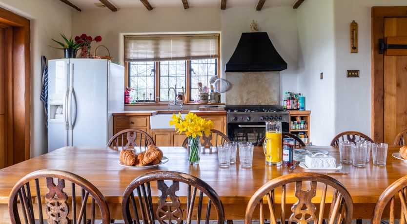 Photo of In the Garden of Eden