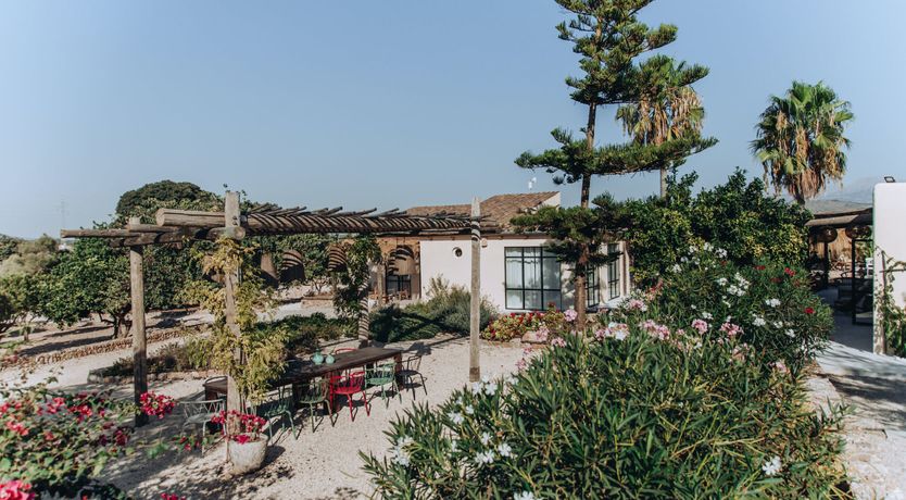 Photo of Moroccan Majesty