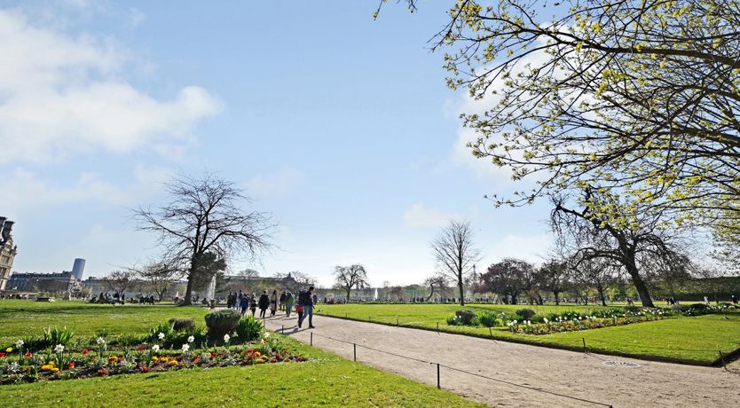 Photo of Champagne Sparkle