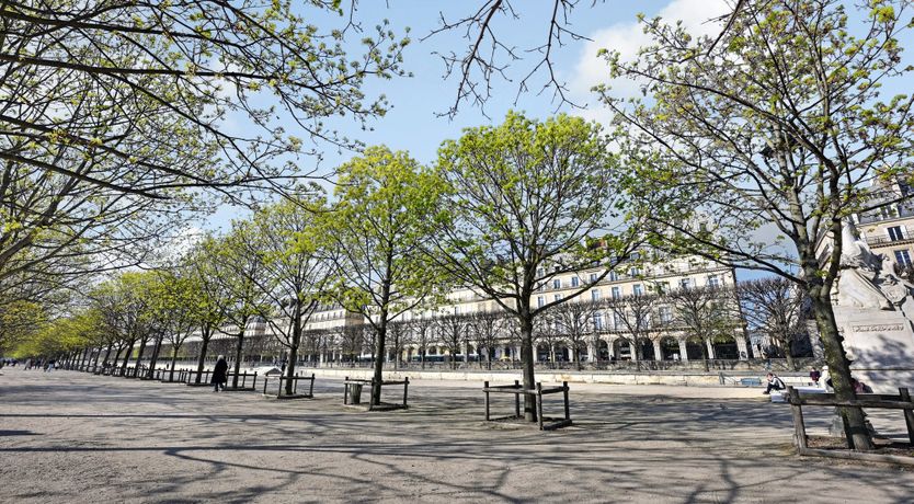 Photo of Champagne Sparkle