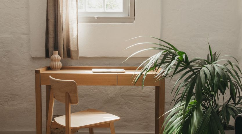 Photo of Beauty of Nature