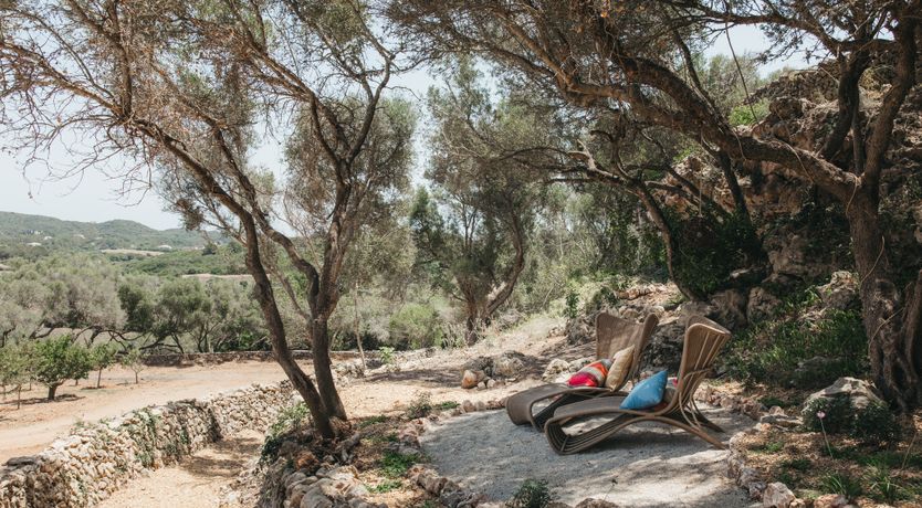 Photo of Beauty of Nature