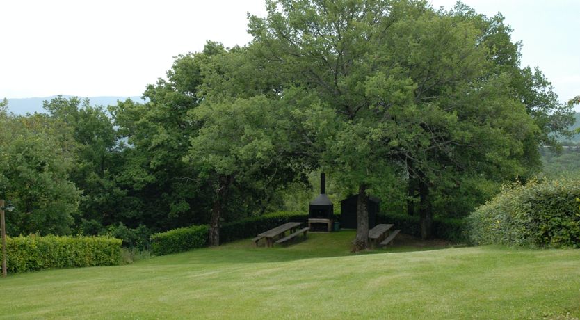 Photo of The Papessa