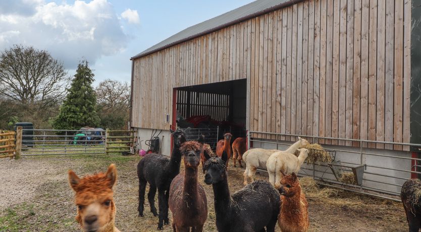 Photo of Colomendy Alpaca Farm - Coach House