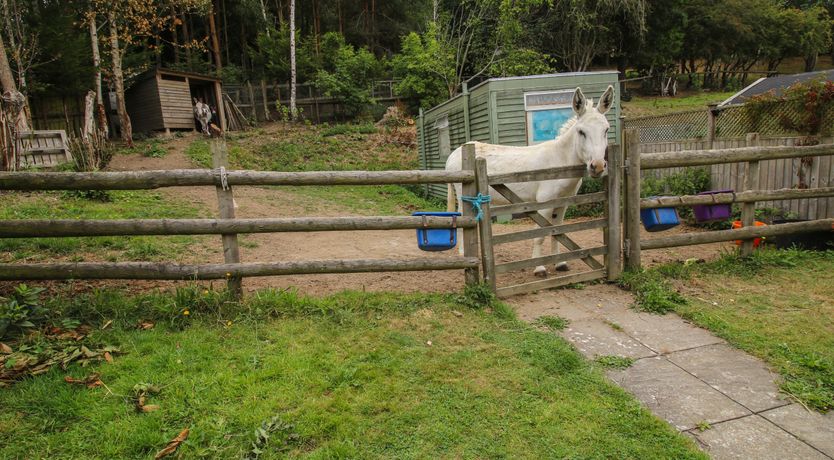 Photo of Dragonfly Lodge