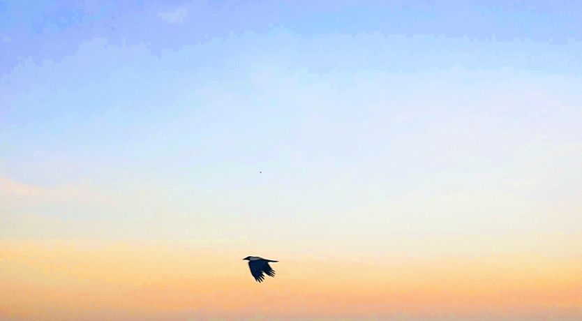 Photo of rhodes-sky-line-suites