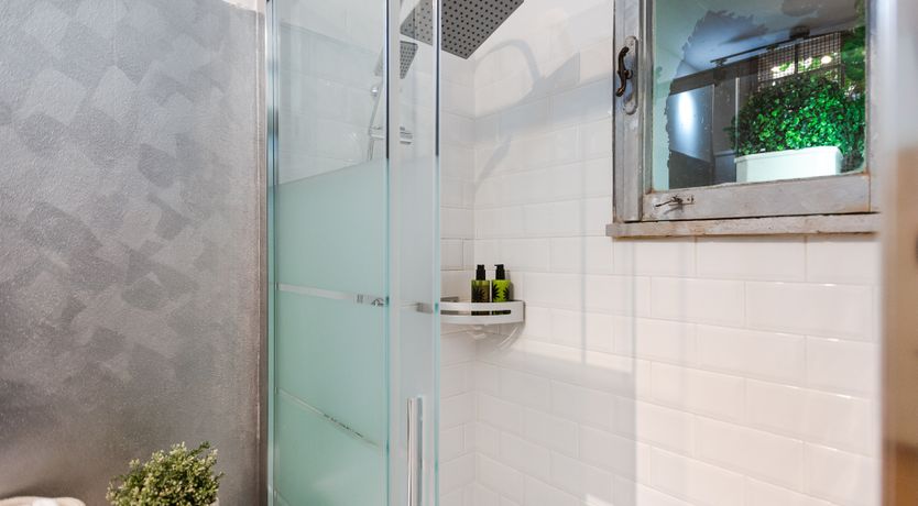 Photo of The Roman Writer