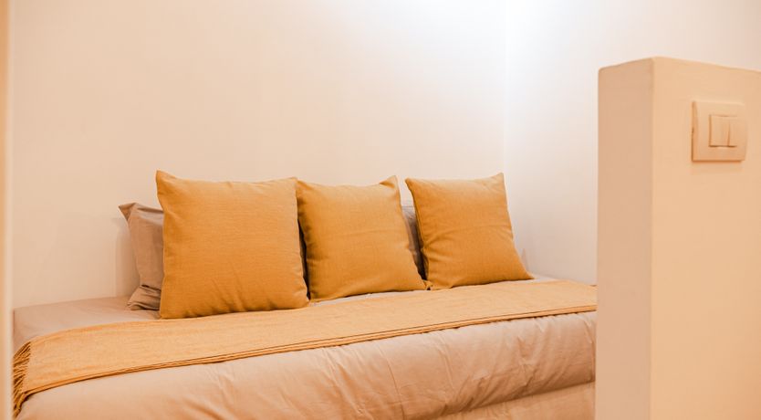 Photo of The Roman Writer