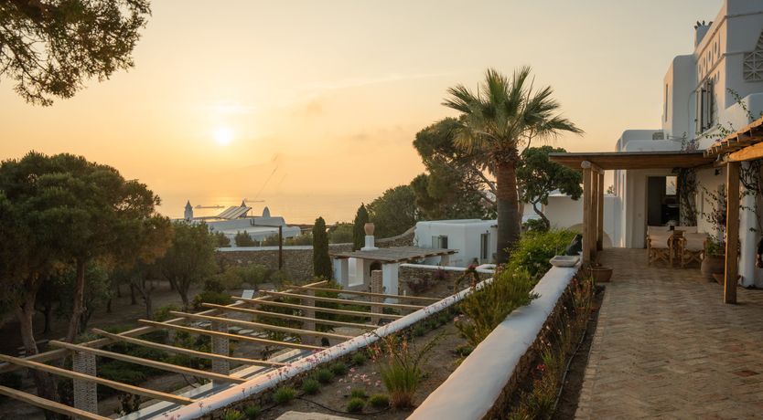 Photo of The Secret of the Rose