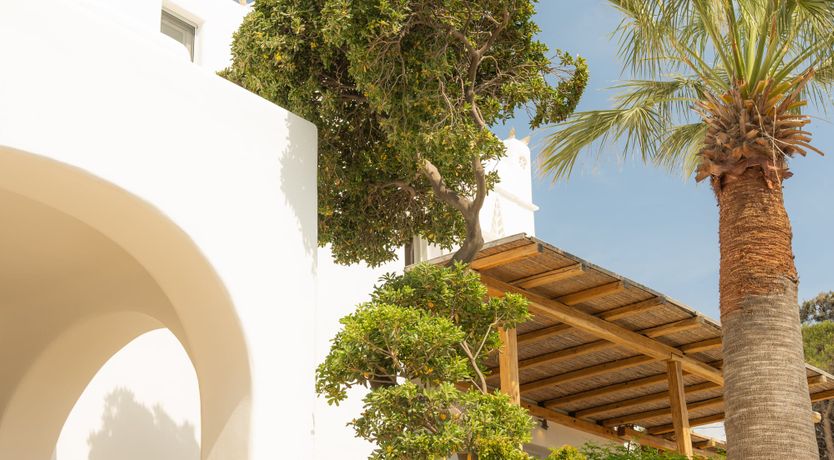 Photo of The Secret of the Rose