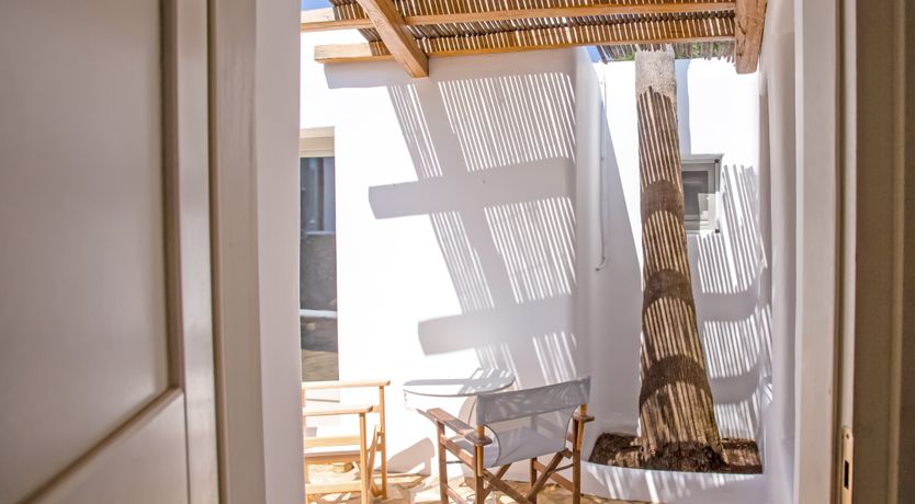 Photo of The Secret of the Rose