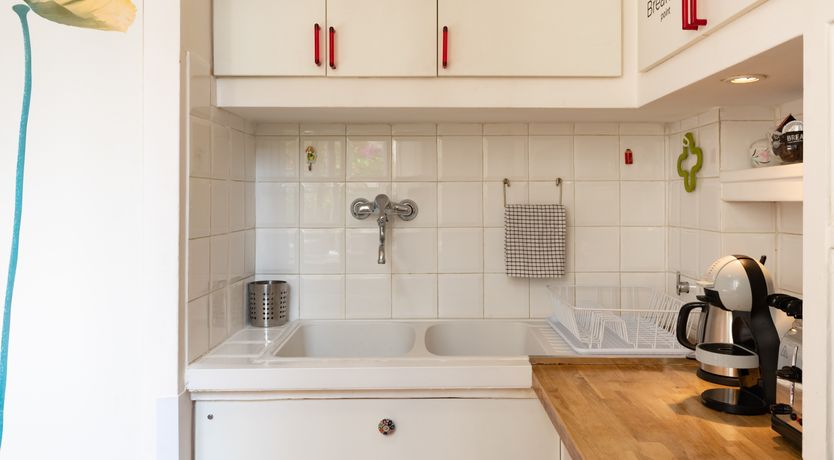 Photo of The Roman Flower