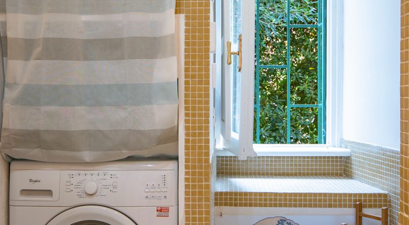 Photo of The Roman Flower