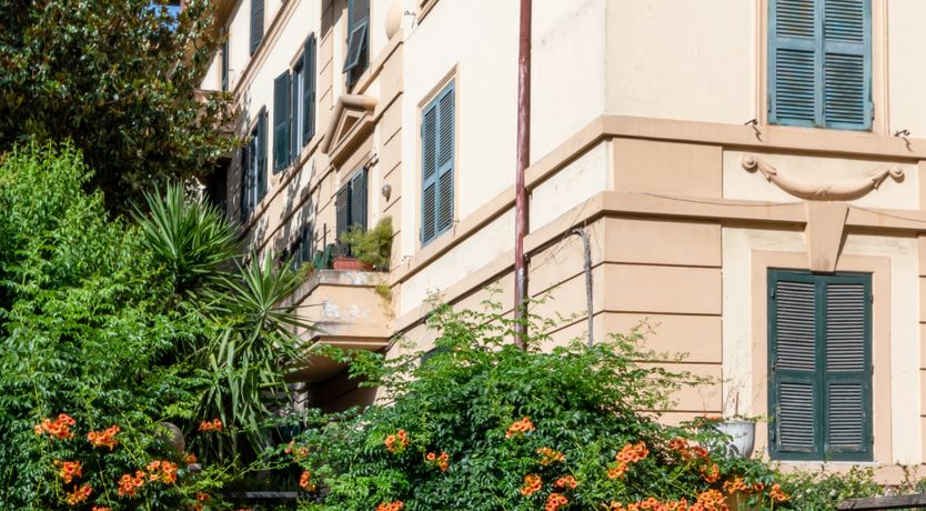 Photo of The Roman Flower