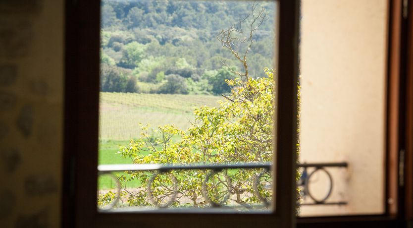 Photo of French Vineyards