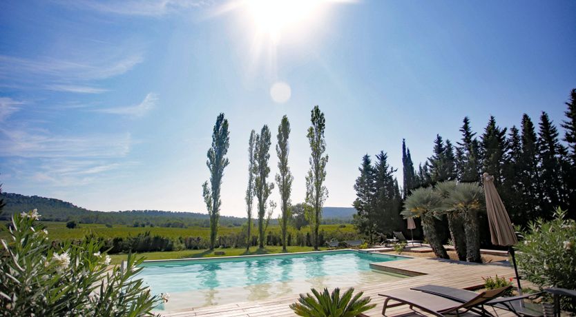 Photo of French Vineyards