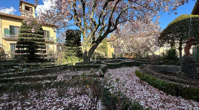 Photo of Tiled Dreams