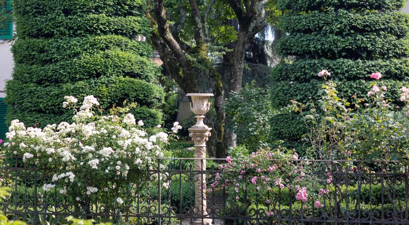 Photo of Tiled Dreams