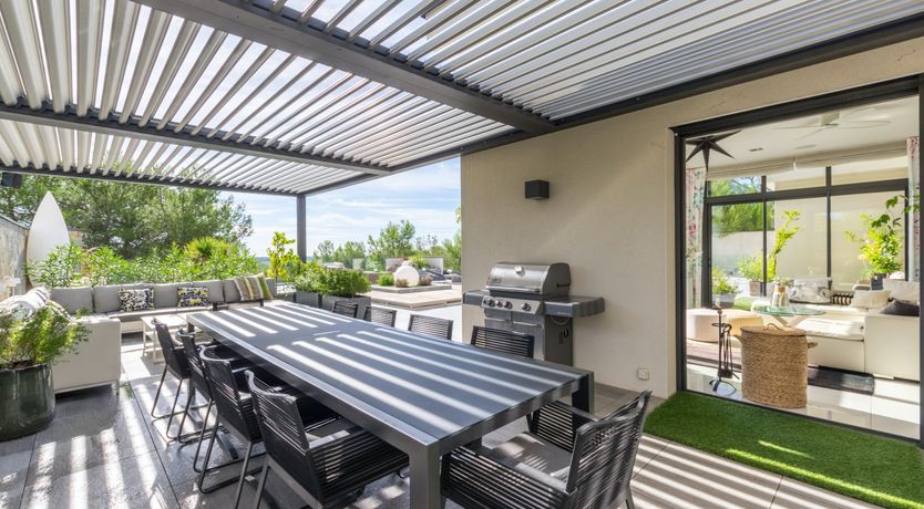 Photo of The Birds of Paradise