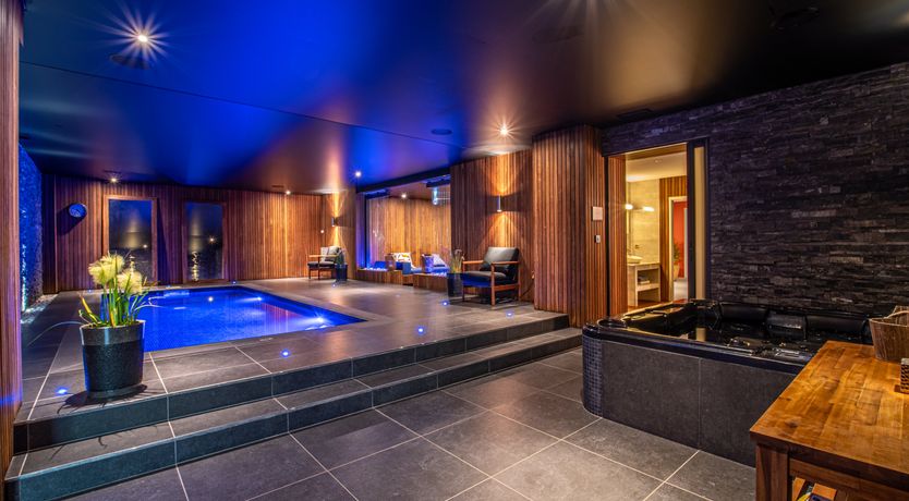 Photo of The Birds of Paradise